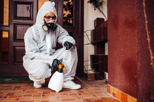 Attic and Crawl Space Rodent Treatment in De Pue