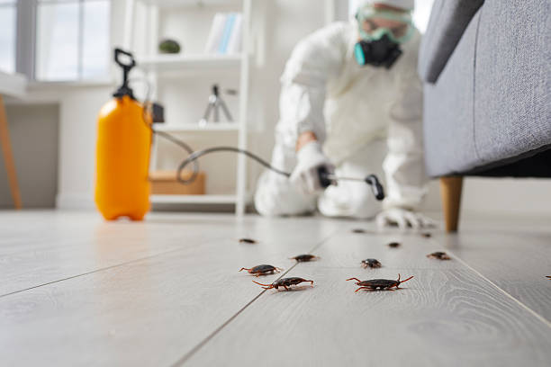 Commercial Rodent Management in De Pue